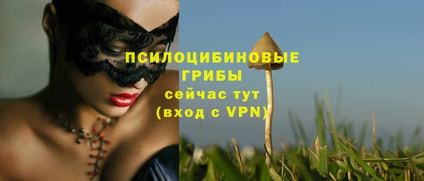 соль курить ск Алзамай