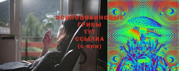 гидропоника Алексин