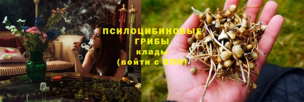 соль курить ск Алзамай