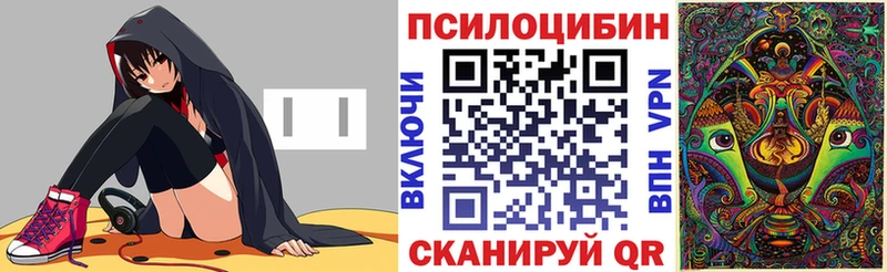 даркнет сайт Ахтубинск Галлюциногенные грибы прущие грибы